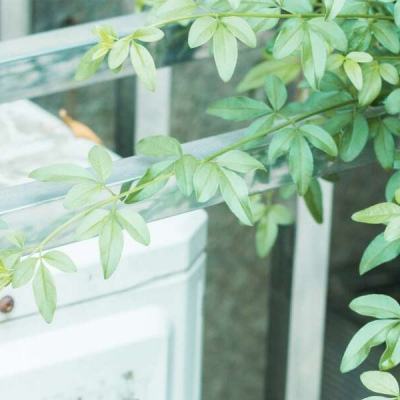 AOA体育下载手机版